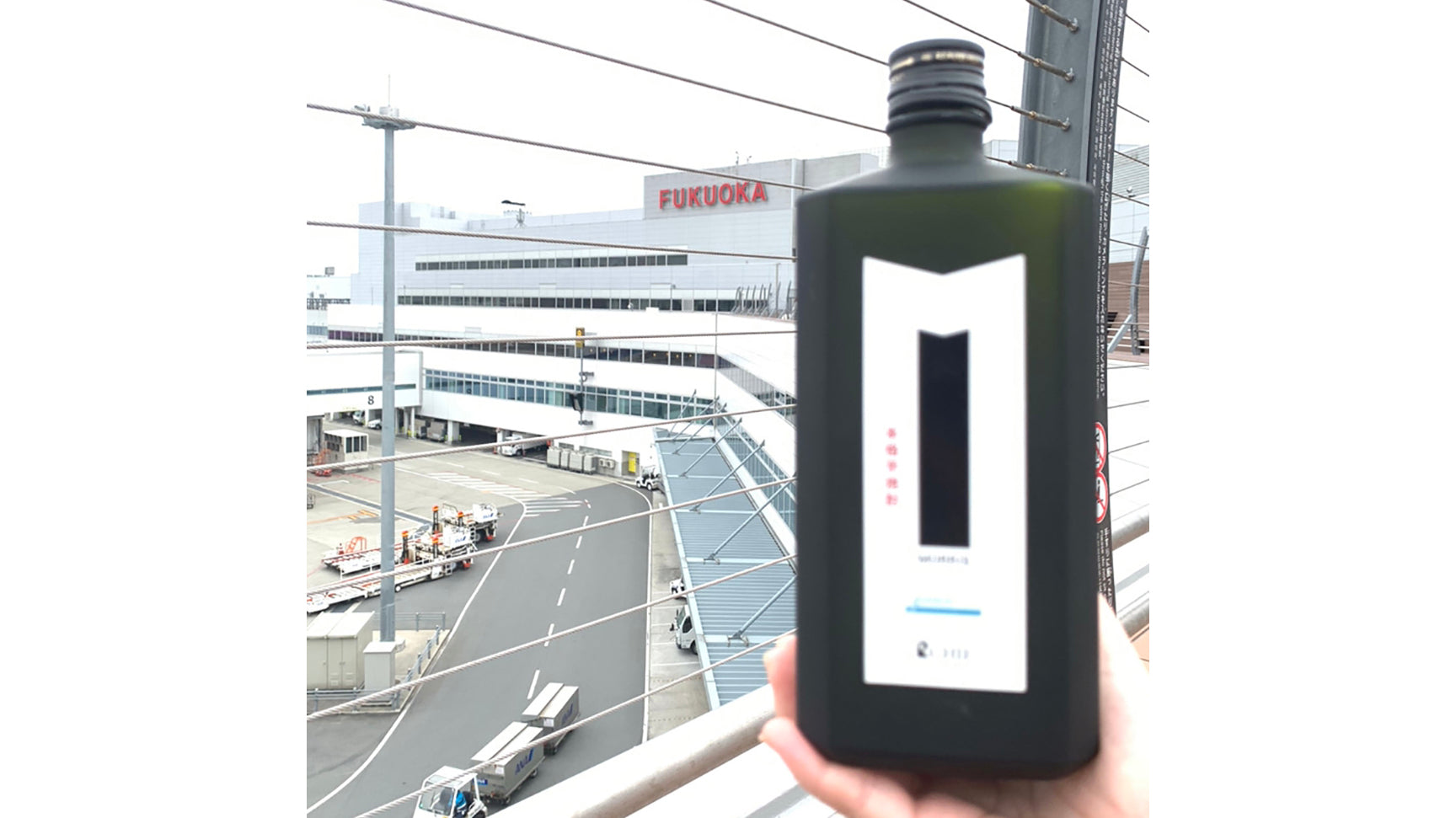 2月29日(木)まで！本格芋焼酎MORRIS 福岡空港試飲販売