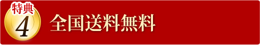 全国送料無料