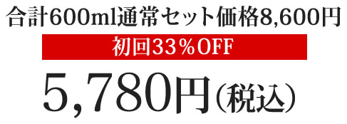 合計600ml通常セット価格8,600円